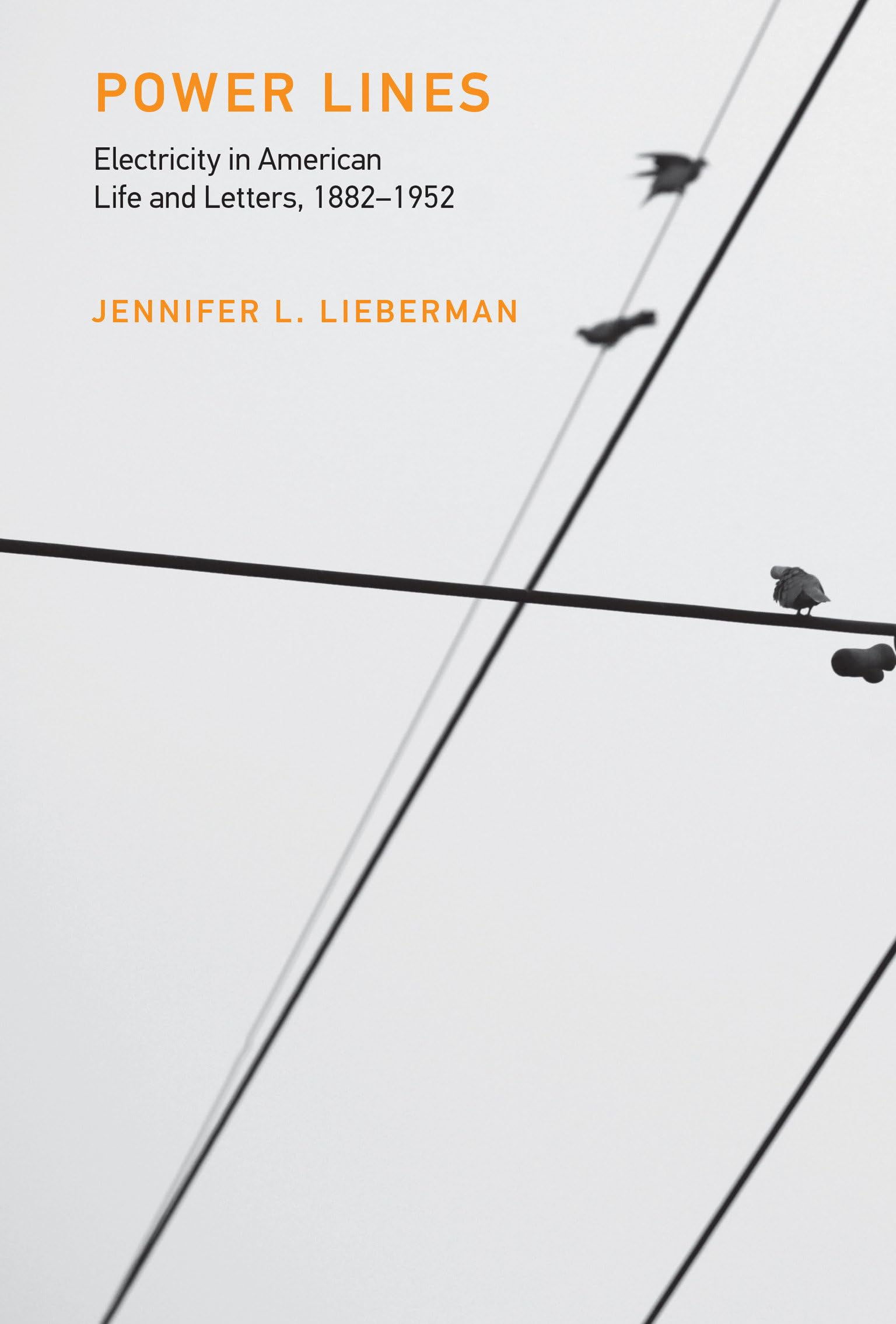 Buy Power Lines — BookShops.in