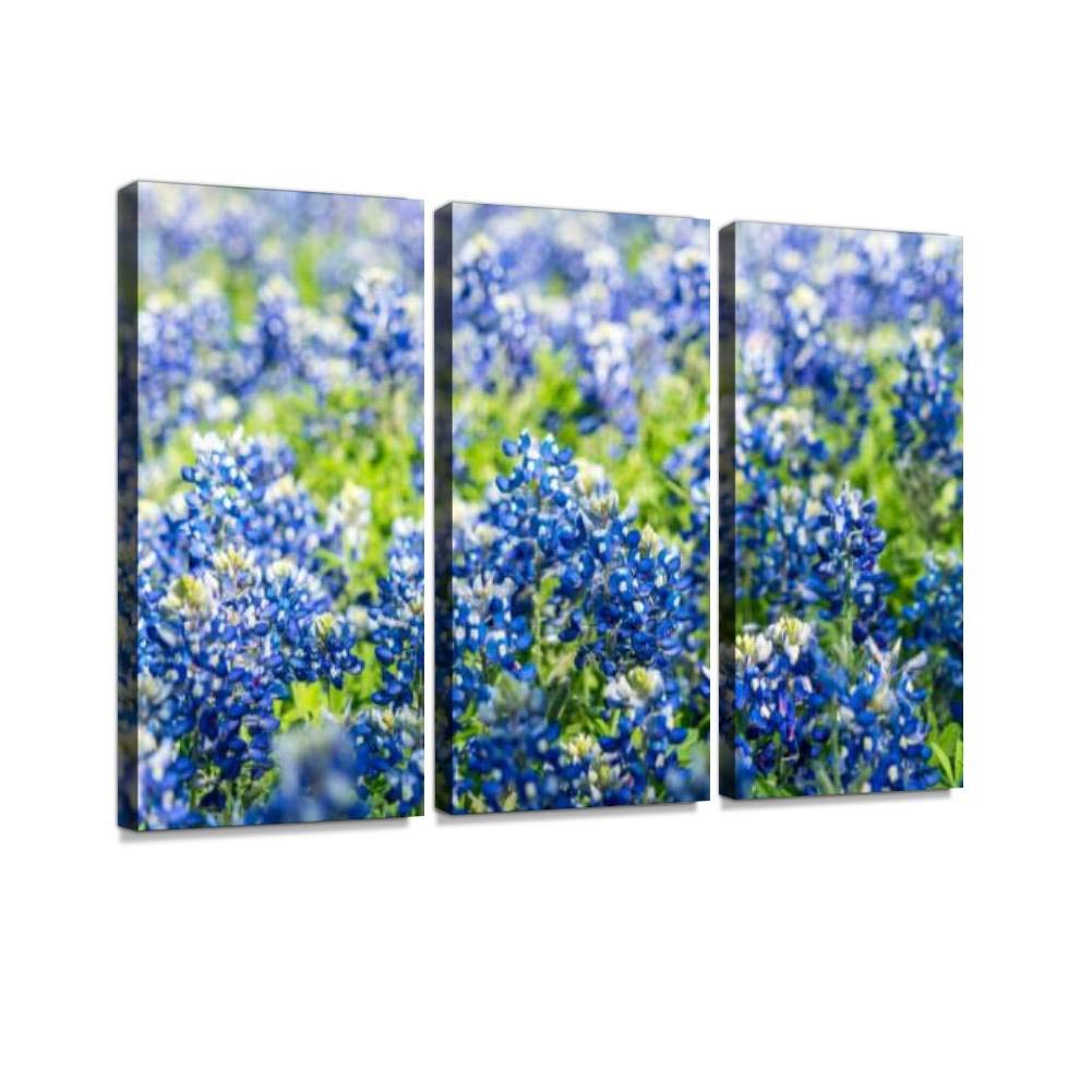 YKing1 Spring time Bluebonnets Patch Close up on Flowers Bluebonnet Field Wall Art Painting Pictures Print On Canvas Stretched & Framed Artworks Modern Hanging Posters Home Decor 3PANEL