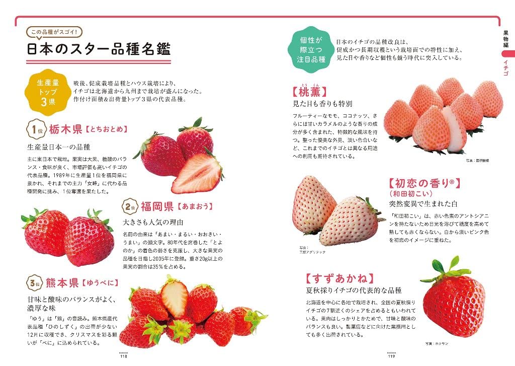 野菜と果物 すごい品種図鑑 竹下大学 本 通販 Amazon