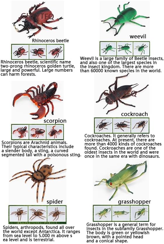 Miniatura 6 de Muñeca de insecto 12 muñecas de animales de insectos extra grandes para niños Educación temprana Cognición Animal Juguete Modelo Rinoceronte