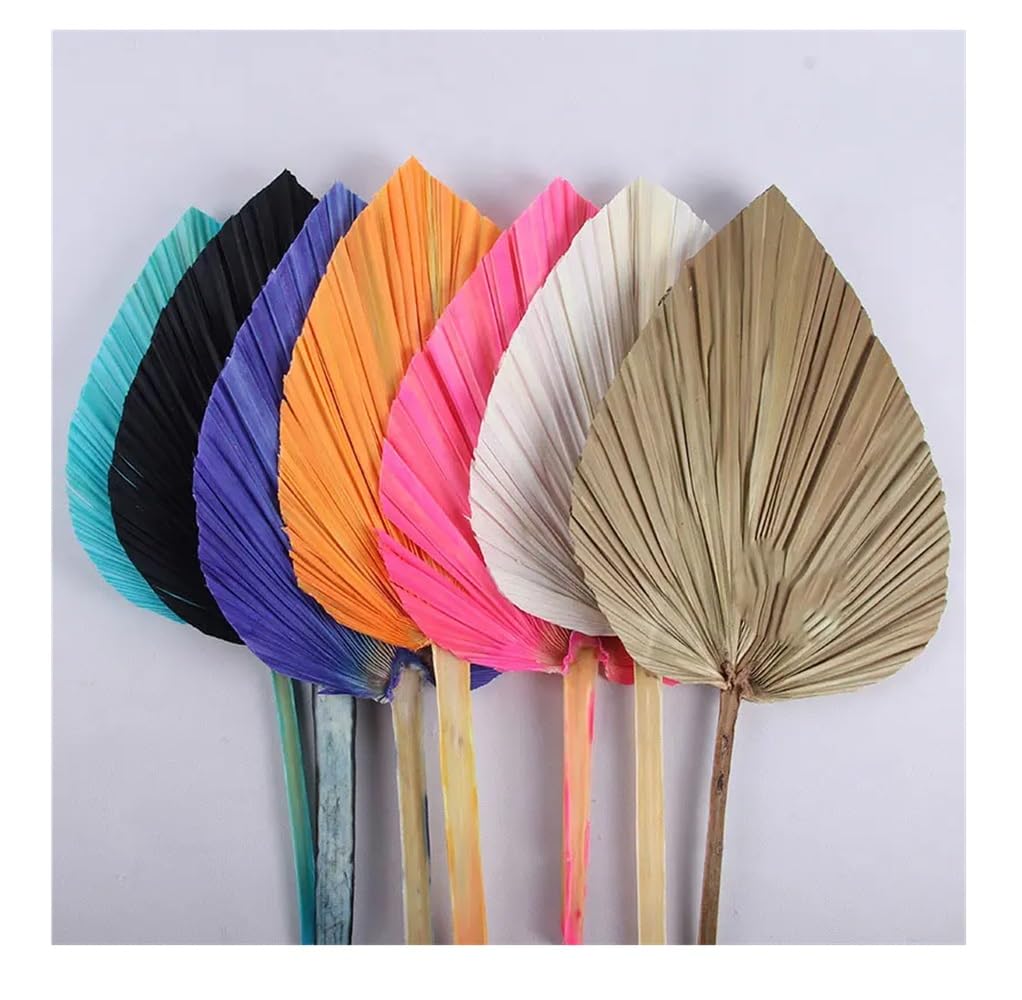 SPHINX Natural Dried Palm Leaf Sticks - Boho Theme Décor, Dried Flora for Ceramic Vases, Home Decoration, Craft & Bouquet Making Supplies (Assorted Colors, Big Spear Shape, 5 Pcs)