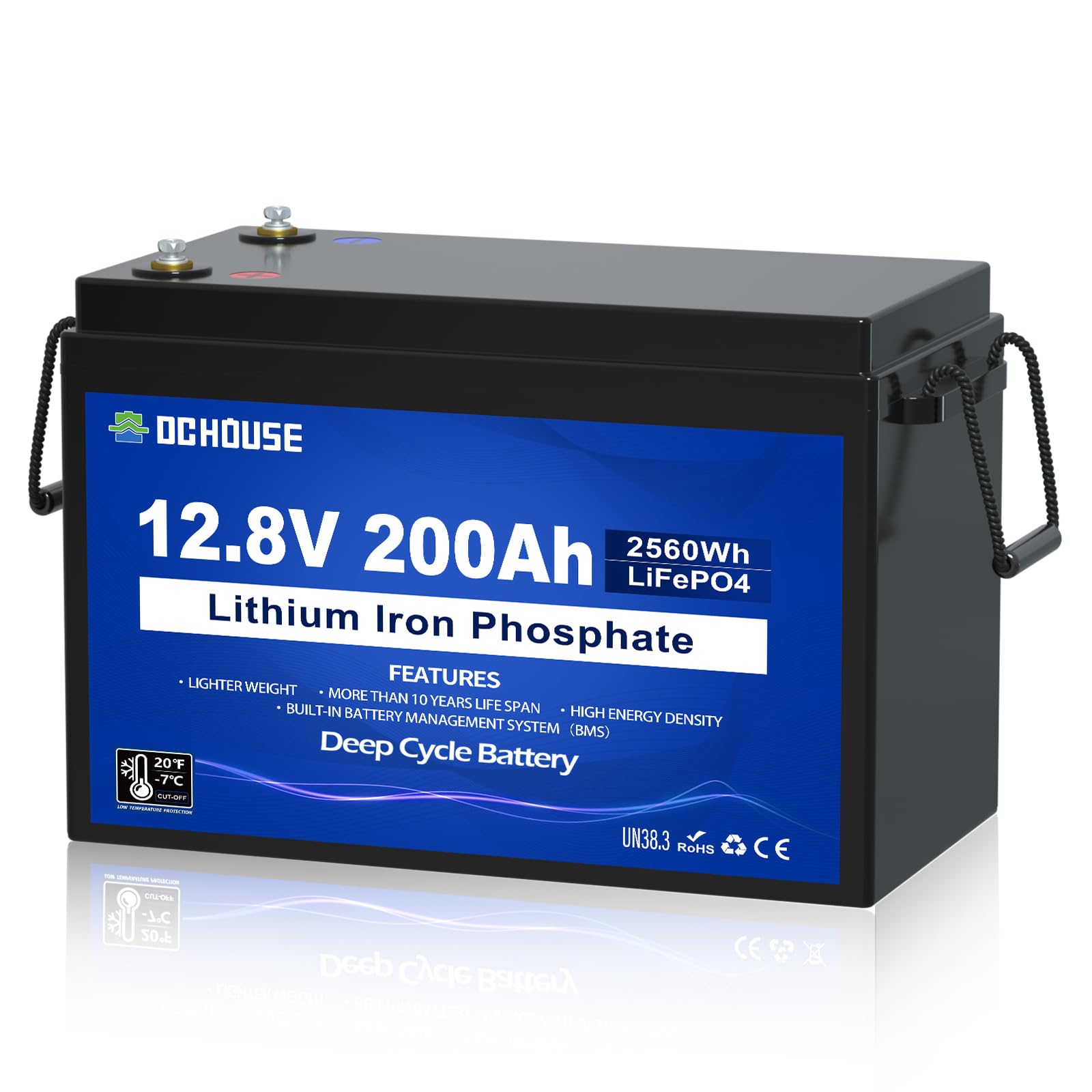 DCHOUSE 12V 200Ah Lithium LiFePO4 Deep Cycle Battery, Low Temp Cut Off, with 2560Wh Energy Max. Built-in 200A BMS for RV, Solar, Home Energy Storage, Marine Trolling Motor, Boat, Golf Carts
