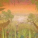 New Store Stock Mirage on the meadow