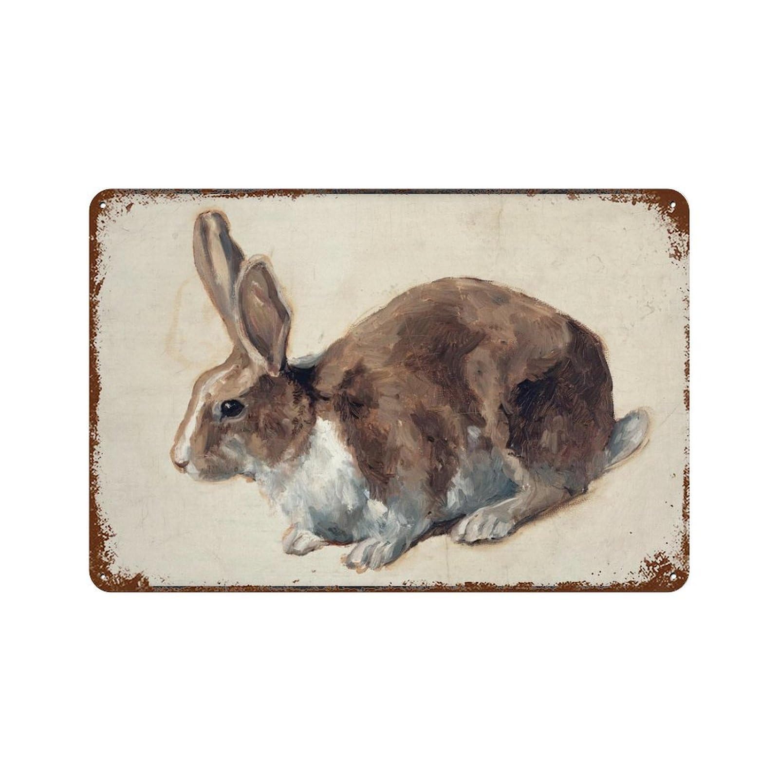 xiaoxiaoshen Vintage Rabbit Painting Bunny Wall Decor Art Metal Tin Poster Modern Home Decor Art Home Bar Shop Decorations Vintage Sign 20x30cm