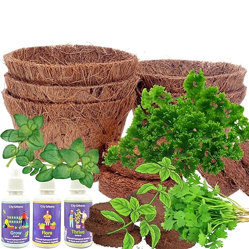 City Greens Garden Starter Kit | Seed Starter Kit | 4 in 1 Herbs ...
