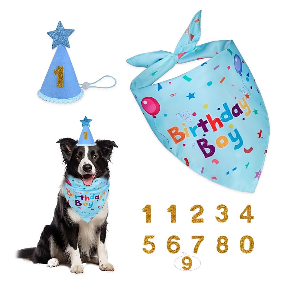 3 PCS Set Compleanno Cane,Bandana Cane Compleanno con Cappello, Numeri,HMCEY Cappellini da Festa per Animali Domestici,Accessori Decorazioni Compleanni Regalo per Cani Maschi, Femmine - Blu