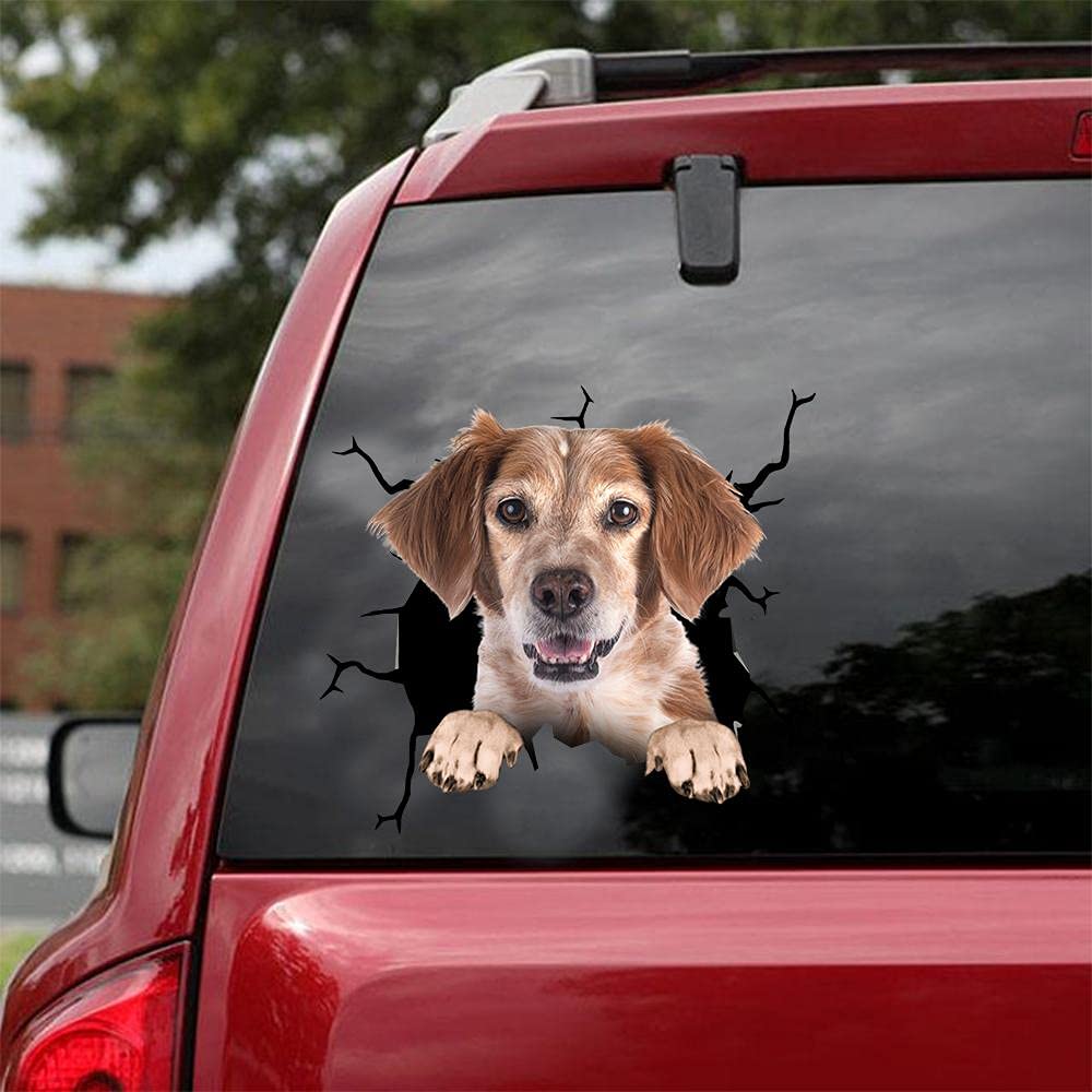 Jack Russell Ocean Gift Boston Terrier Car Decals, Dog Car Boston Terrier Socks