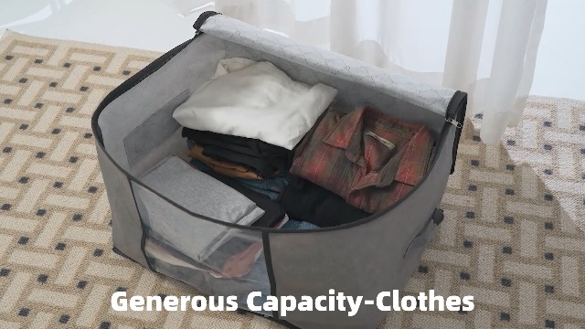 NEWSONA 2 Sacs de Rangement SOUS LIT avec Fenêtre - Multi-Usage pour Canapé/Armoire (100x50x18 cm) - Tissu Non Tissé Anti-Poussière