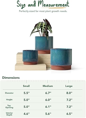 Miniatura 33 de LE TAUCI Macetas de cerámica para plantas, macetas de 8 + 6.7 + 5.5 pulgadas para interiores, maceta con agujeros de drenaje, macetas cilíndricas