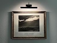 Review Image by CXR8393 CXR8393