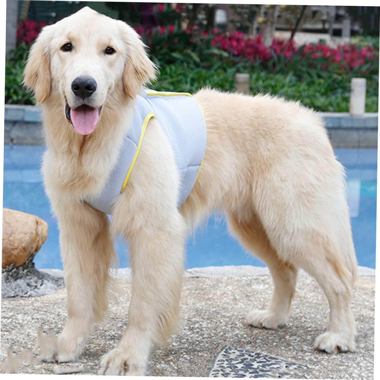 FOMIYES 2pezzi Gilet Rinfrescante Per Pet Cooling Traspirante Per Attività Estive Vestibilità e Facile Indossare Xs Per e Jogging