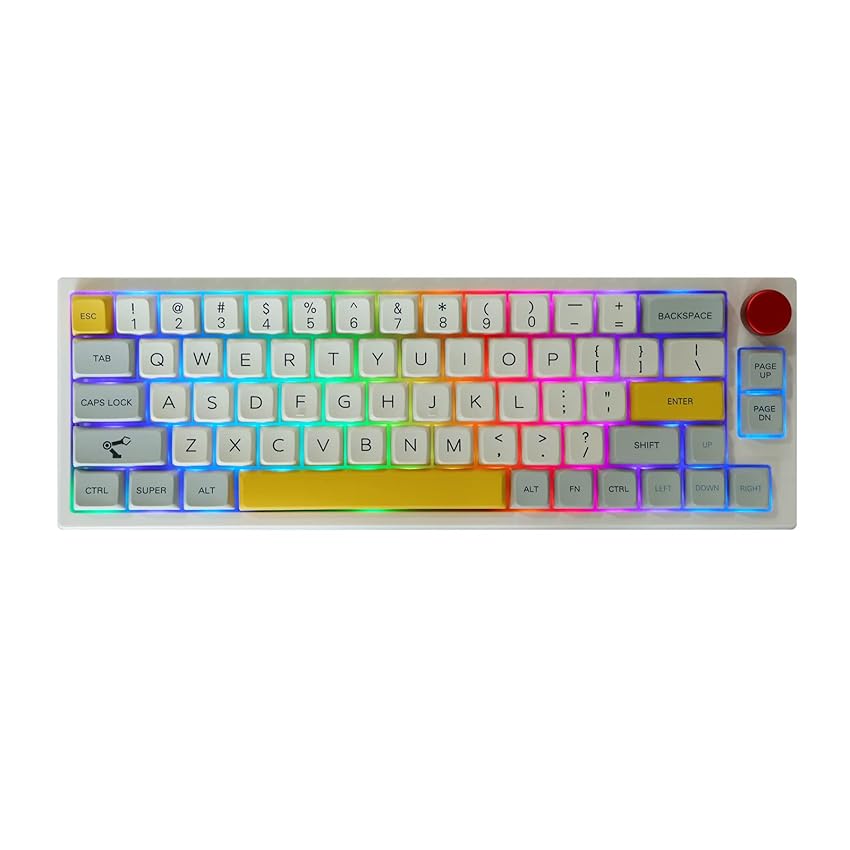 Immagine del prodotto EPOMAKER TH66 Pro 65% Hot Swap RGB NKRO 2,4 Ghz/Bluetooth 5.0/Tastiera meccanica da gioco cablata con tasti MDA PBT, controllo manopola per Mac/Win (White Case, Gateron Pro Black)