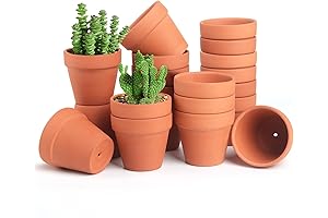 FAMILY 20 Pack Terra Cotta Mini Planters – Ideal for Kids to Learn and Grow