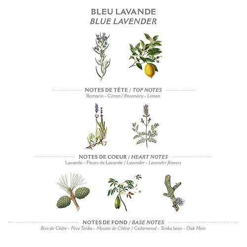 Miniatura 10 de Panier des Sens Jabón en barra de geranio rosa - Barra de jabón perfumada suave hidratante - Jabón natural con aceite de oliva - 97% ingredientes