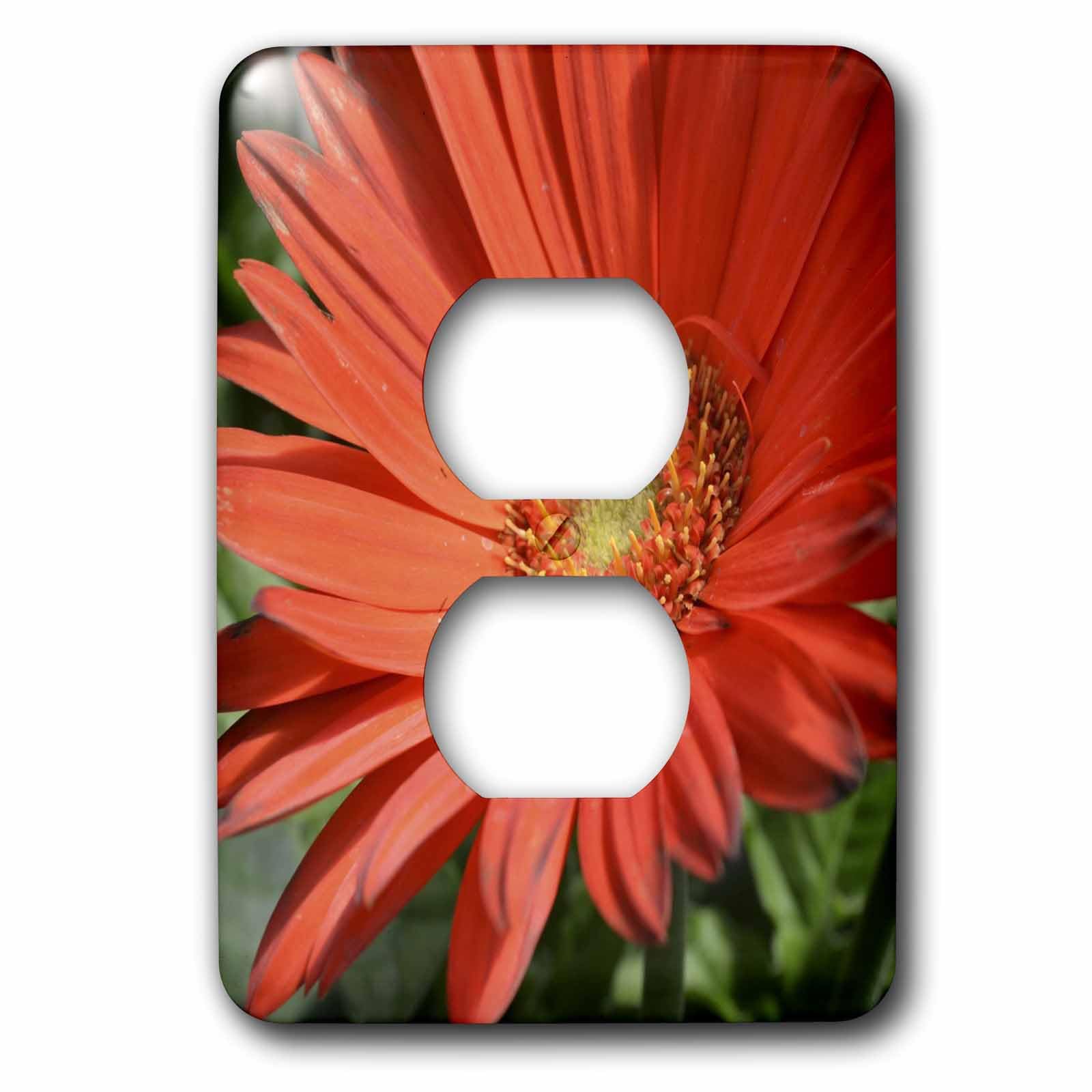 Housse de prise de sortie orange 3dRose LSP_36186_6 Gerbera Daisy