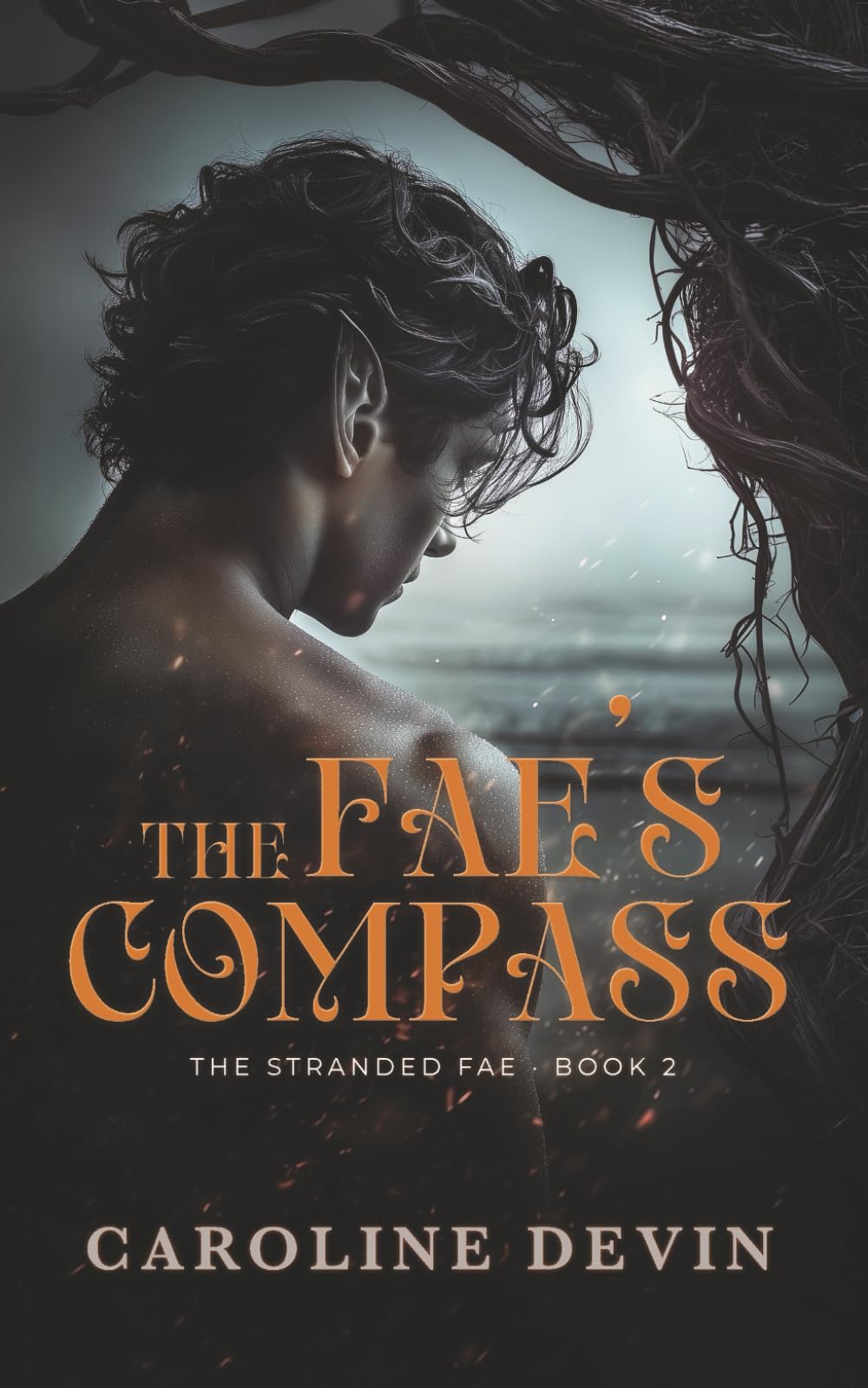 The Fae's Compass: A Fake Engagement Fated Mates Romance: 2 (The Stranded Fae)