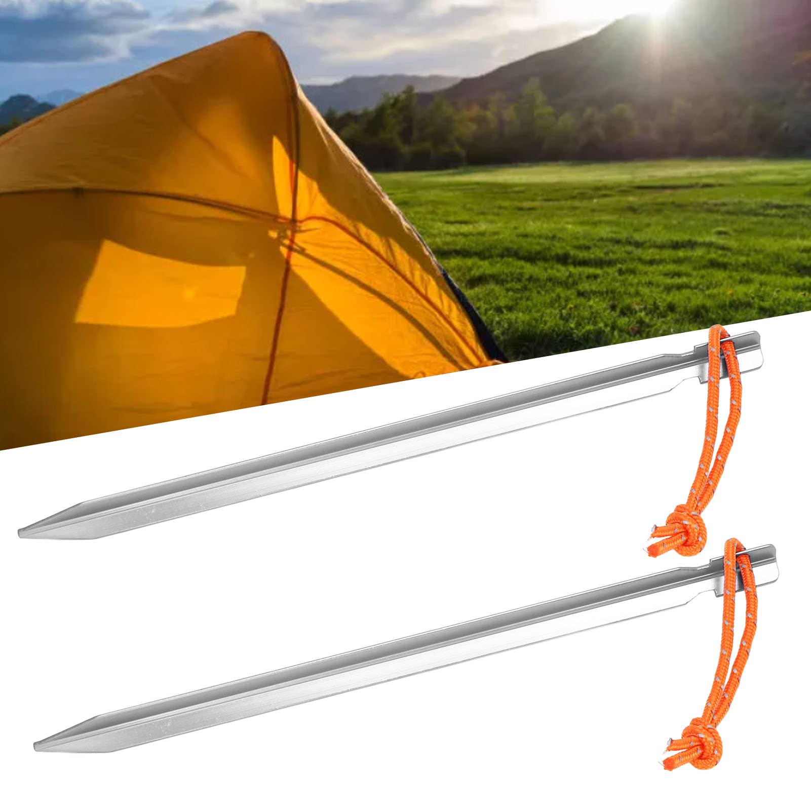Piquets de Tente Robustes en Forme de V, 20 pièces, avec Cordes, pour auvent de Camping en Plein air, 9 Pouces (Argent Blanc)