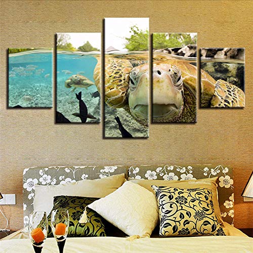 Preisvergleich Produktbild Cczxfcc Wohnzimmer Wanddekorkunstdrucke 5 Stücke Unterwasser Tier Schildkröte Landschaftsbilder Poster Modulare Leinwand Bilder-10X15 / 20 / 25Cm-Frame