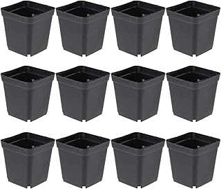 Cabilock Vasos de plástico para berçário, 50 peças, flores de mudas, vasos de flores para sementes, vasos de flores para suculentas, mudas, cortes, transplante