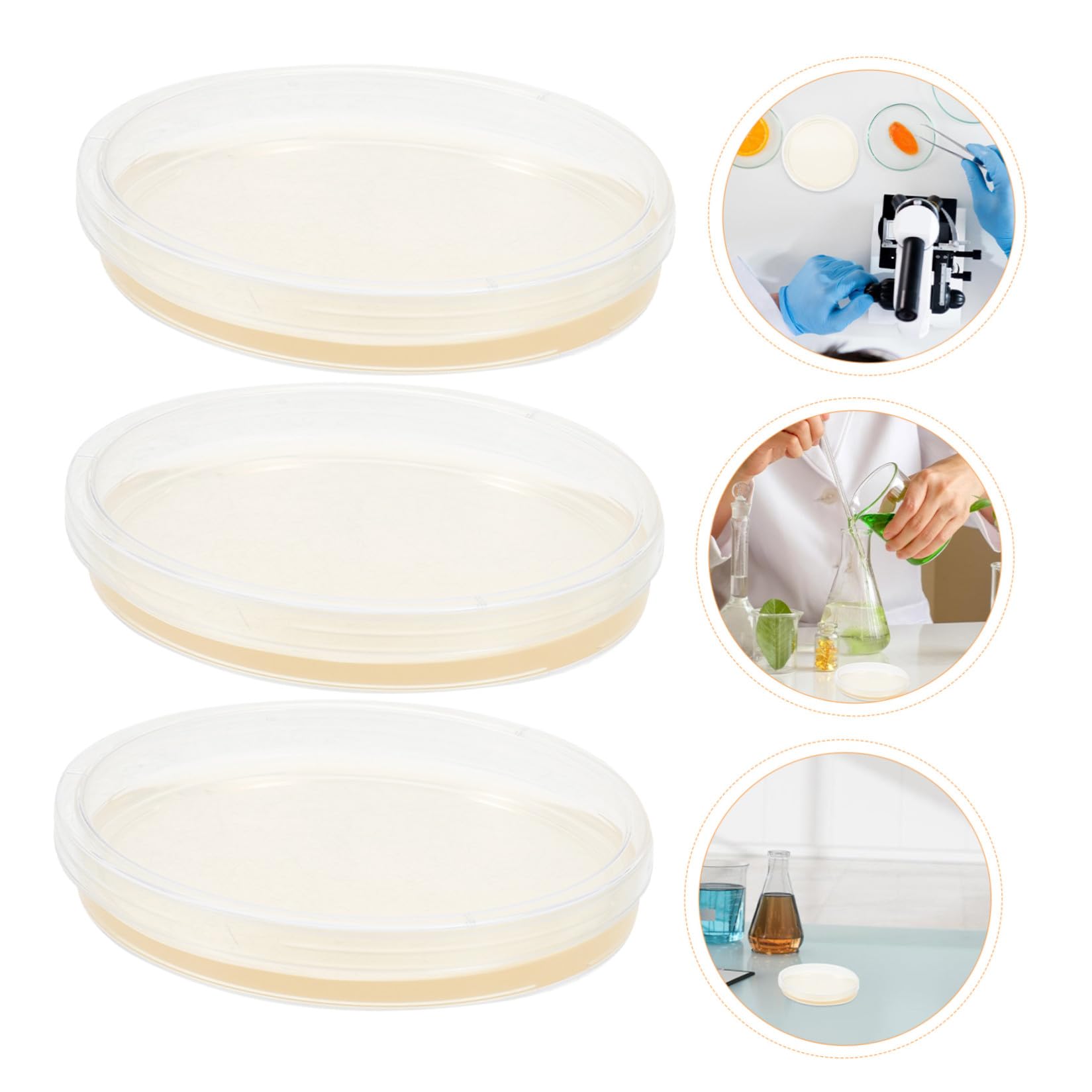 Placas de Petri de Agar Lb 9cm, 20 Pcs, Ps, Redondas | Prevertidas y Estériles, para Cultivo Microbiano y Laboratorio Escolar, Crecimiento Estable