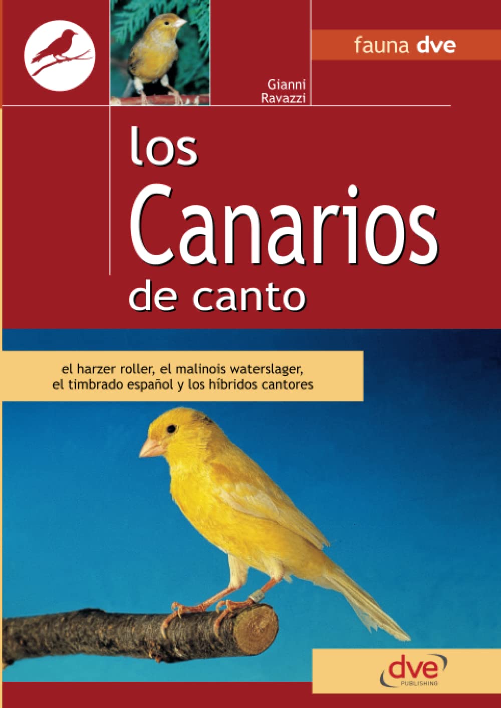 Los canarios de canto (Spanish Edition)      Paperback – April 25, 2018