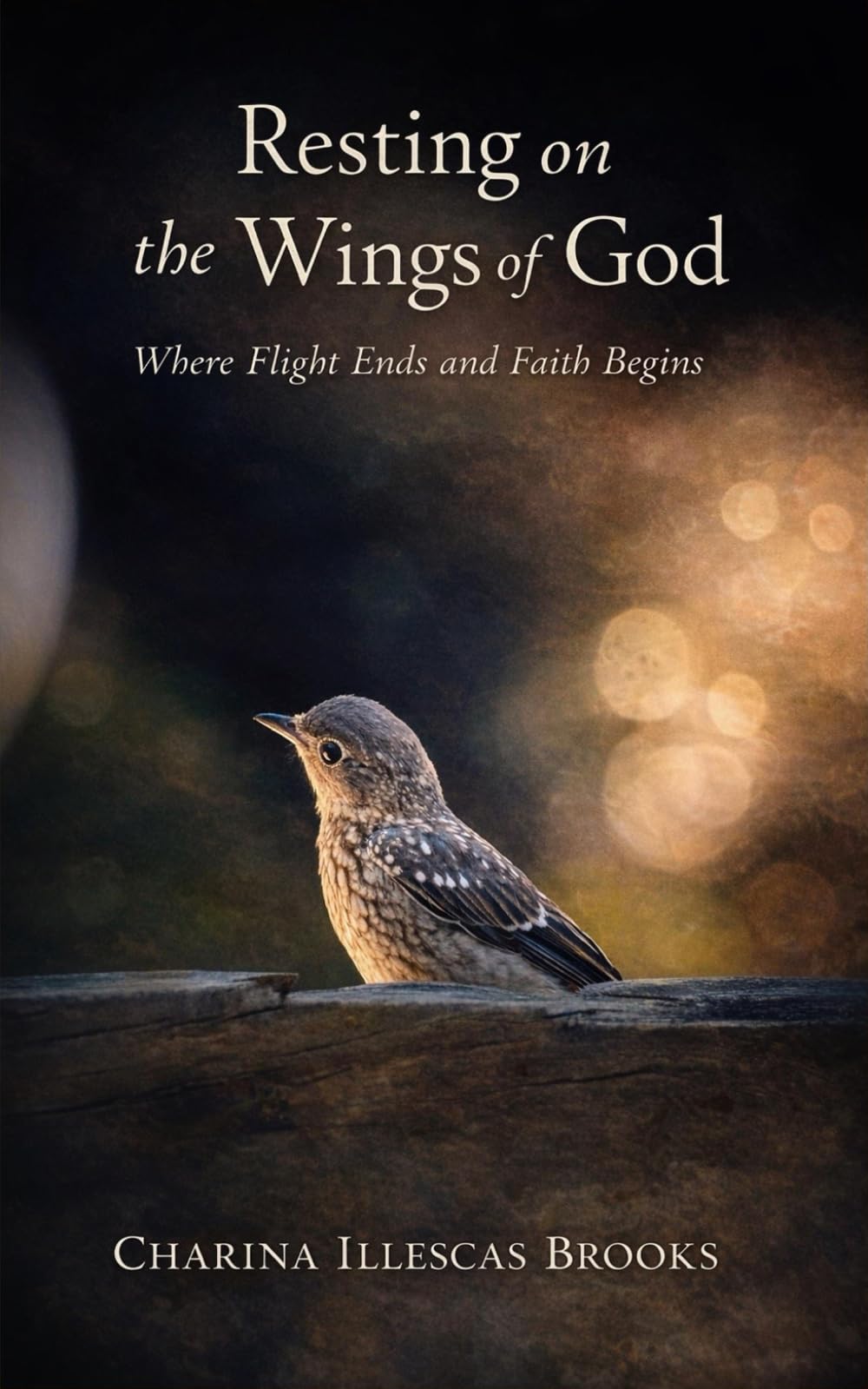 Resting on the Wings of God: Where Flight Ends and Flight Begins