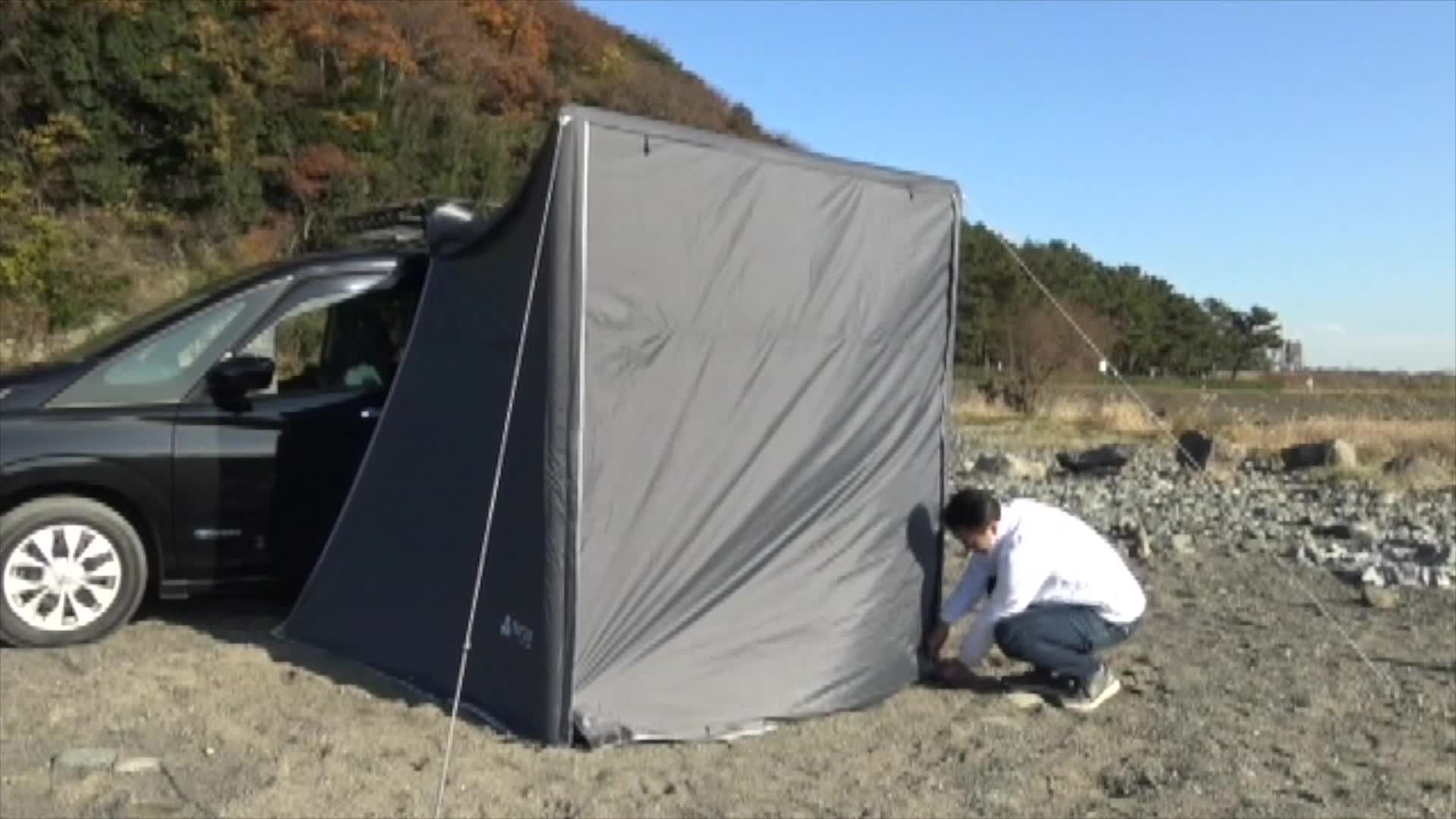 Amazon.co.jp: Terzo テルッツォ (by PIAA) 車用タープ 1個入 エア 