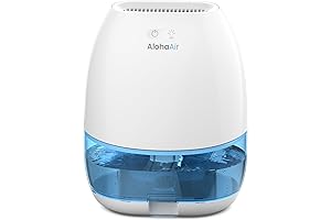 Small Dehumidifiers for Bedroom
