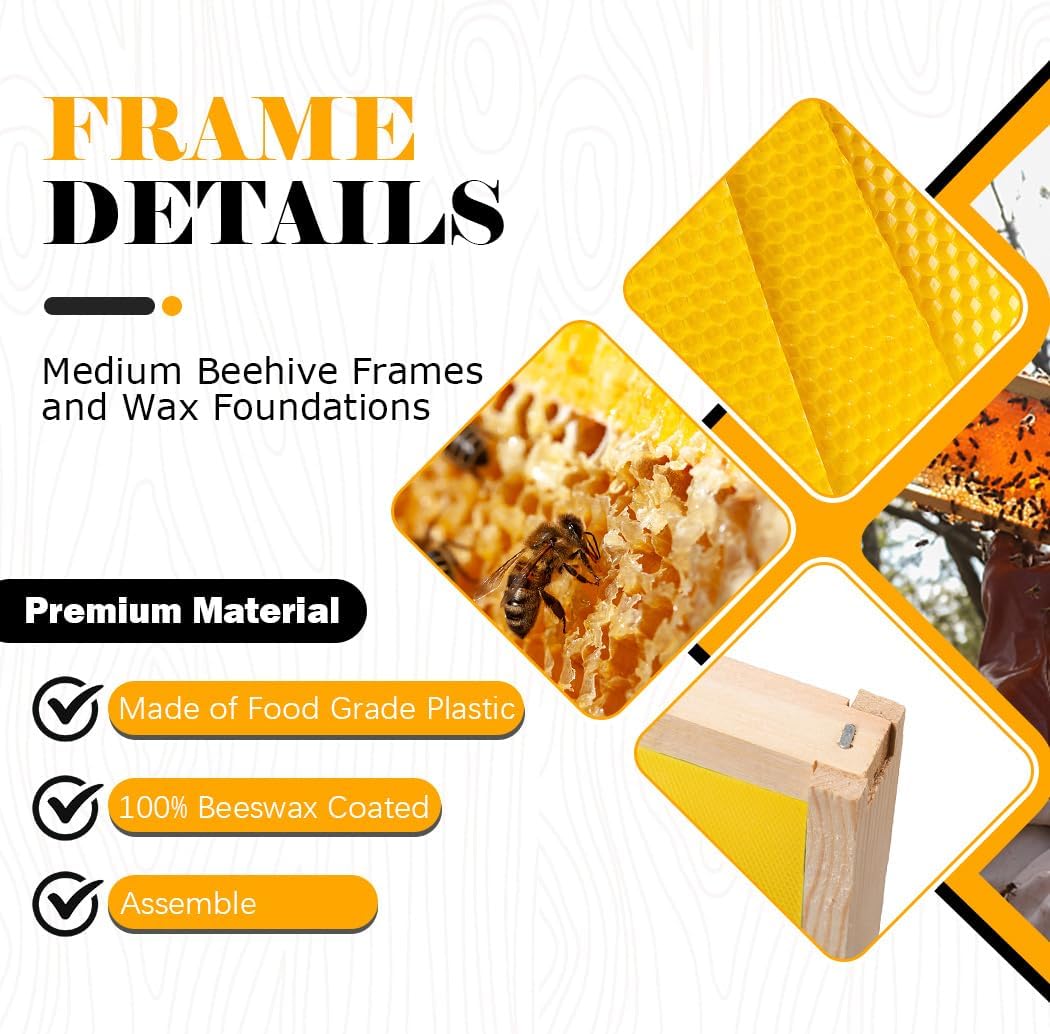 POLLIBEE 10 Frame Medium Super Bee Box, Assemble Bee Hive Box, Dipped in 100% Beeswax, Include Beehive Frames and Bee Hive Foundation