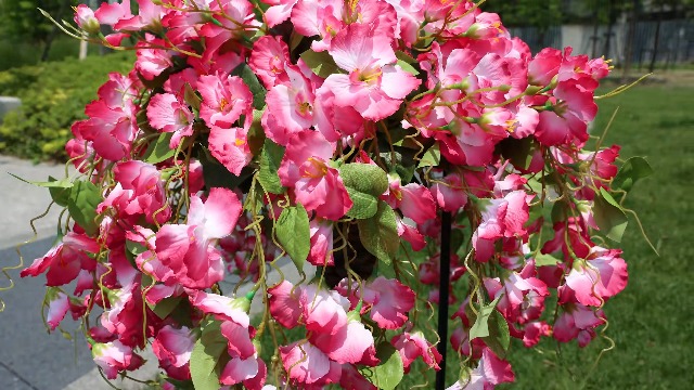 Amazon.com: Artificial Fake Hanging Hibiscus Flowers Plants