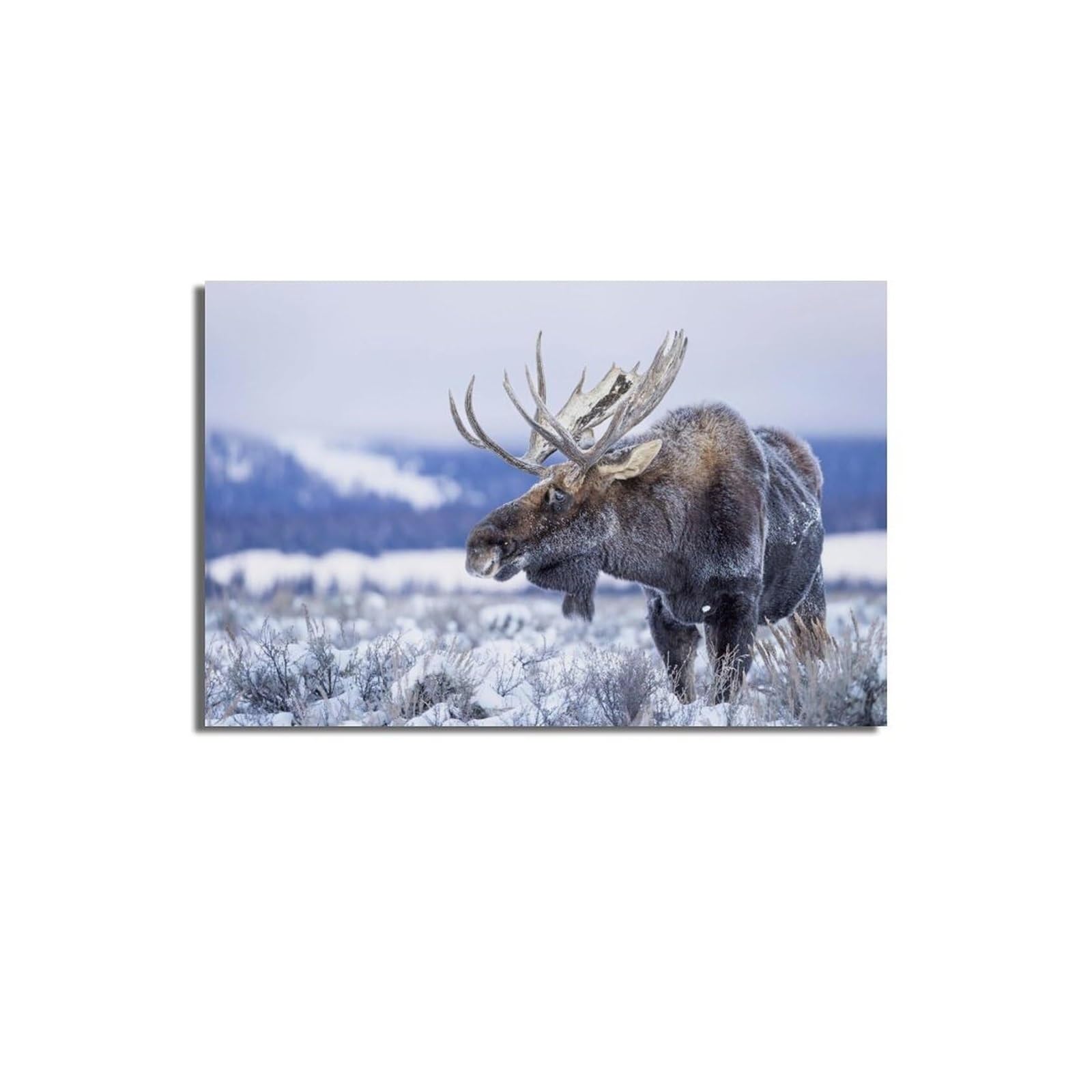SSOPTMCB Stunning Elk Moose Canvas Print, Unframed Wildlife Wall-Art, Rustic Lodge Decor for Cabin, Living Room, Office(Unframed,16x24inch(40x60cm))