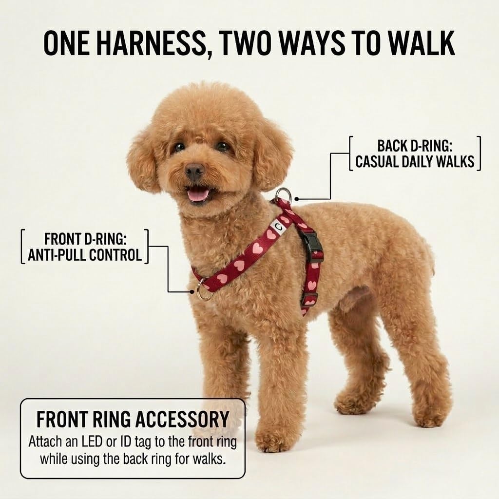 Heart Small Dog Harness and Leash Set - No-Pull Soft Webbing Vest with Front & Back Clip, Durable 2.5cm Wide Dog Lead with Double Lock Safety Clip, Lightweight & Adjustable (Red, Large) image 2