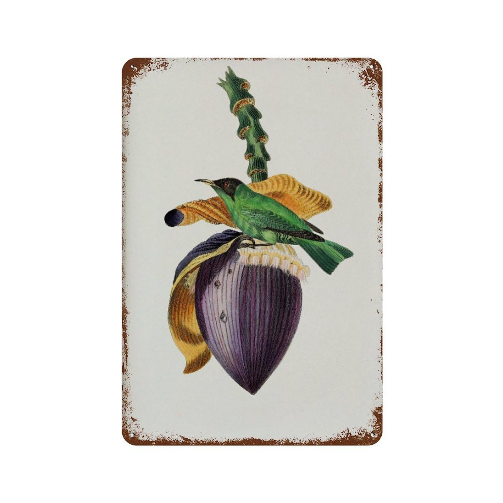 xiaoxiaoshen Vintage Treecreeper Bird Botanical Wall Decor Art Metal Tin Poster Modern Home Decor Art Home Bar Shop Decorations Vintage Sign 30x20cm