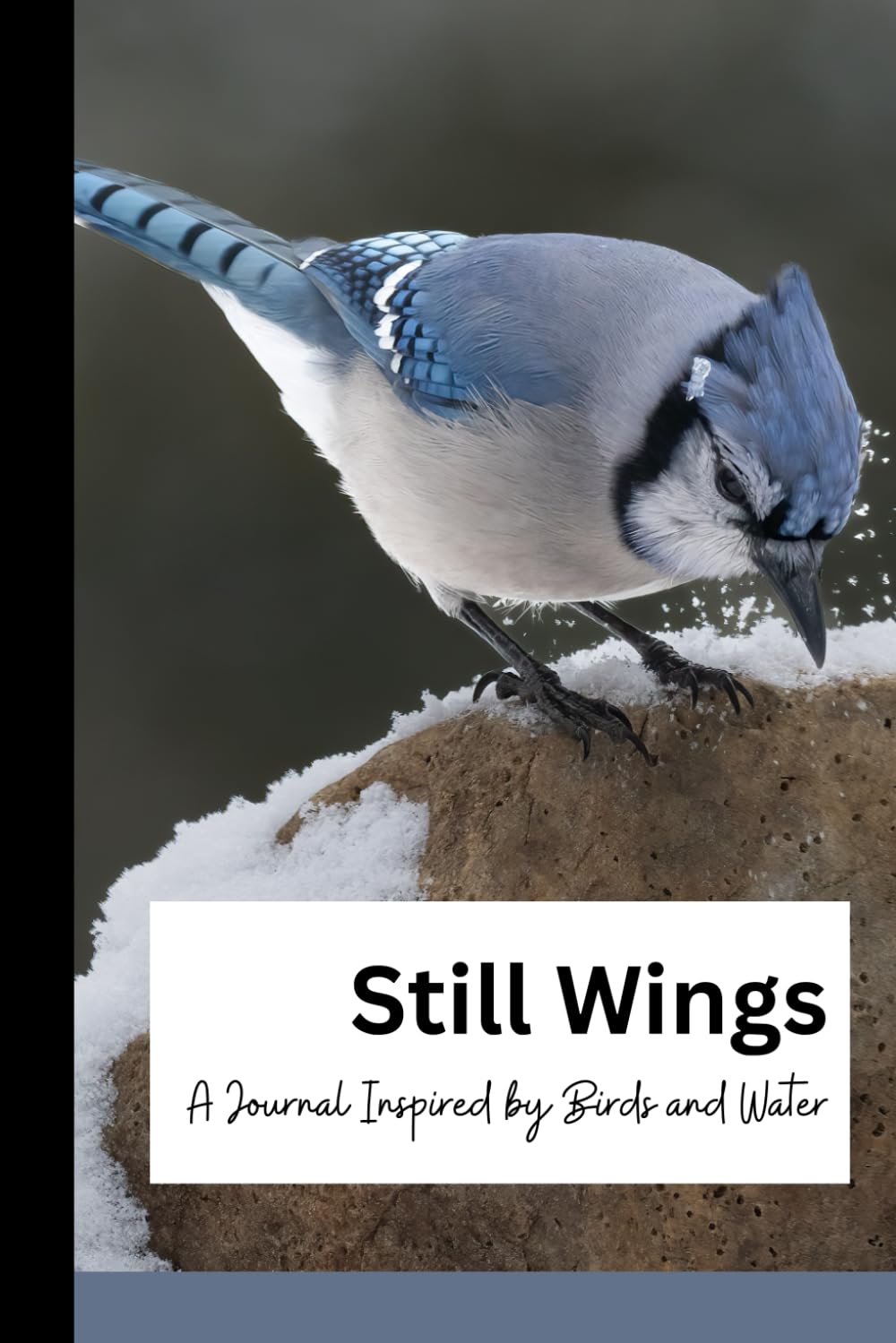 Still Wings: A Journal Inspired by Birds and Water