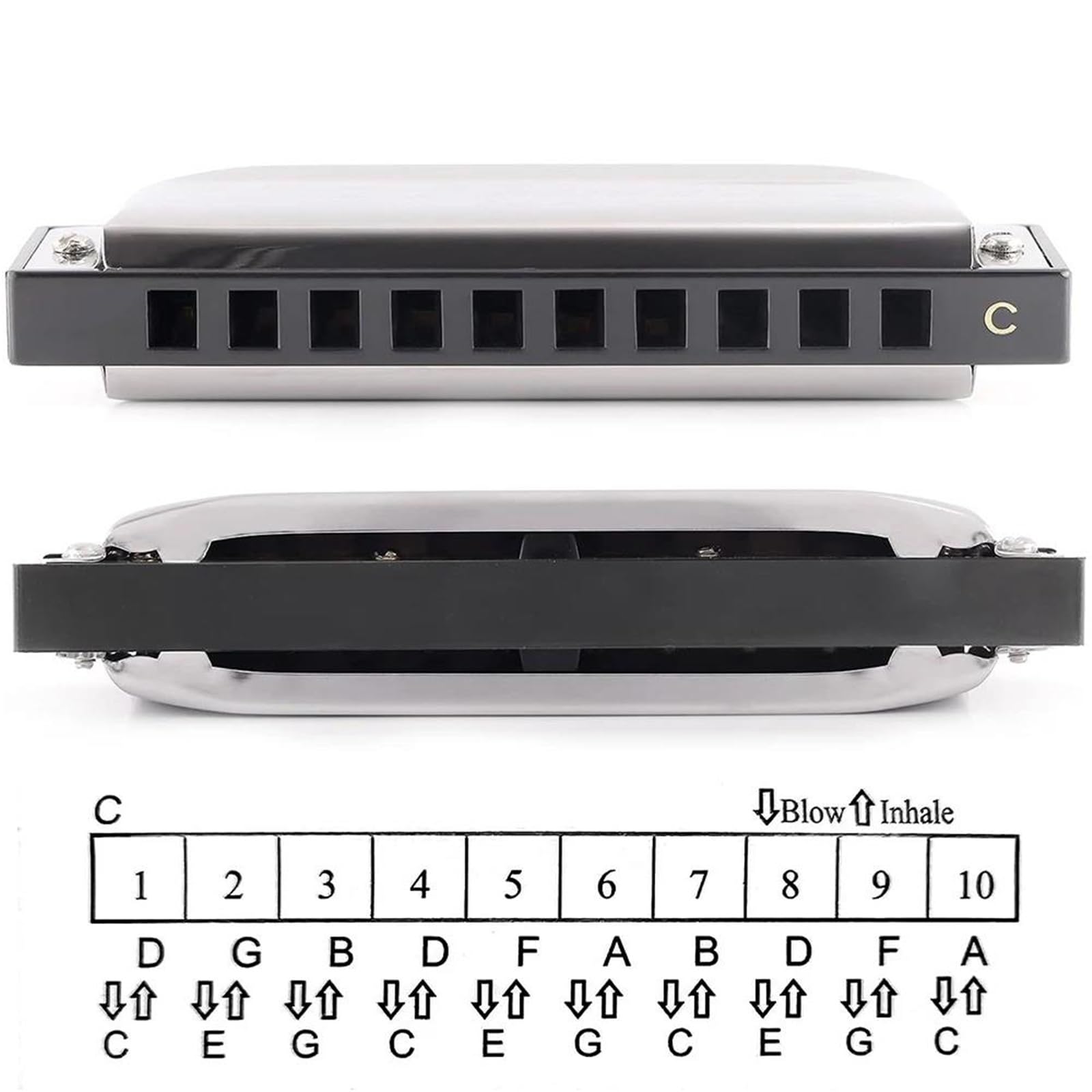 Mundharmonika Diatonische Mundharmonika In C-Dur Mit 10 Löchern Geeignet Für Musiklehrer Und Anfänger. Inklusive Etui(Black)