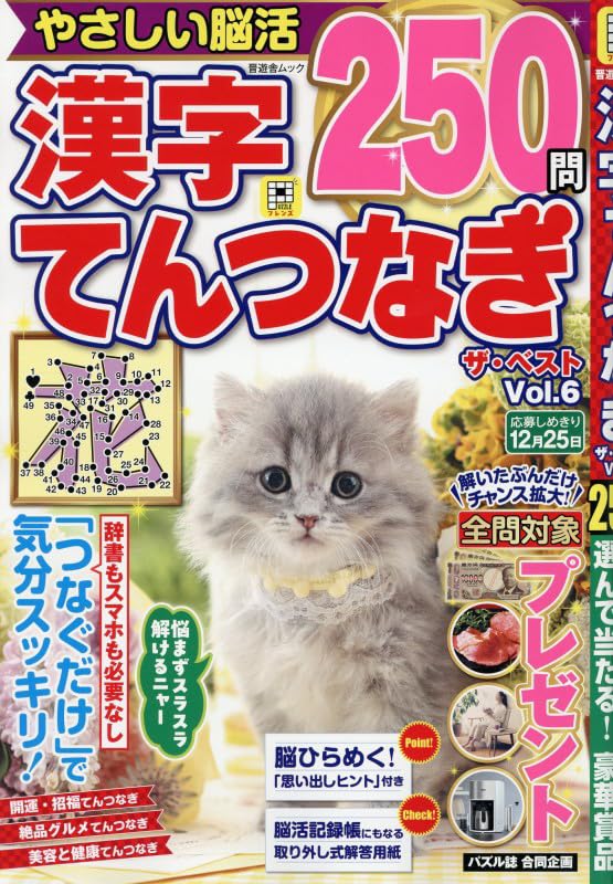 Amazon.co.jp: 漢字てんつなぎザ・ベスト Vol.6 (晋遊舎ムック) : 晋