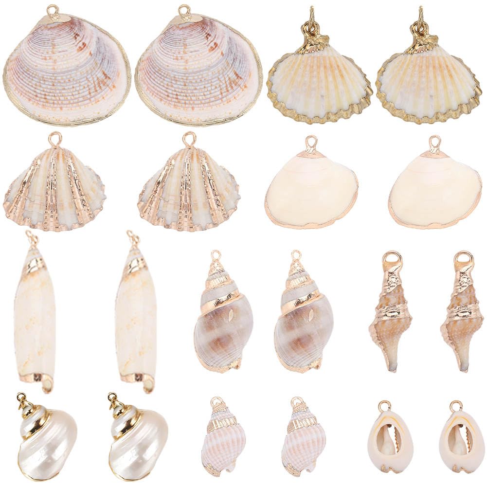 SUNNYCLUE 1 Box 20Pcs 10 Styles Seashell Charms Bulk Sea Shell Charms Large Gold Electroplated Natural White Conch Cowrie Ocean Beach Charm for