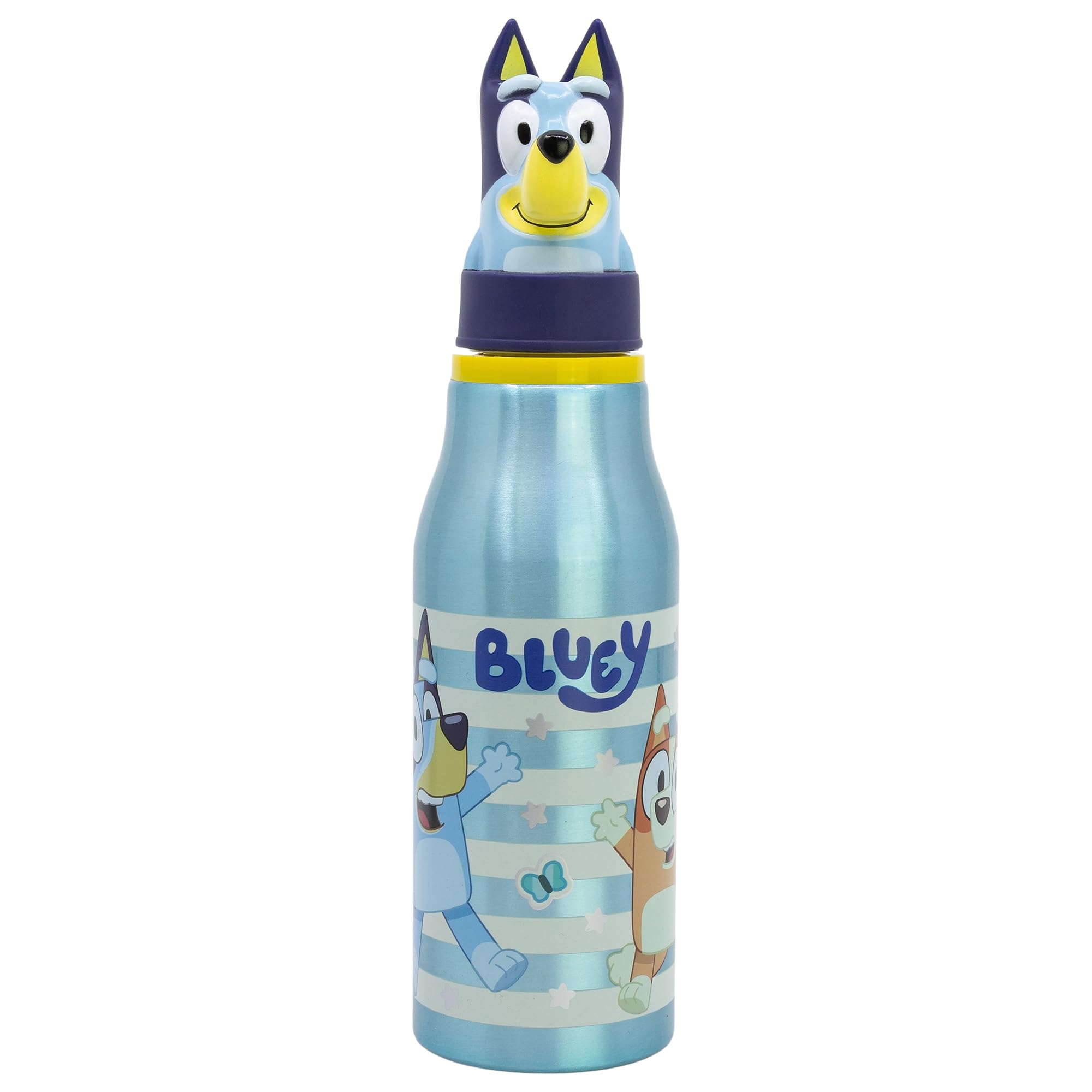 Bluey Bluey 3D Aluminium Bottle