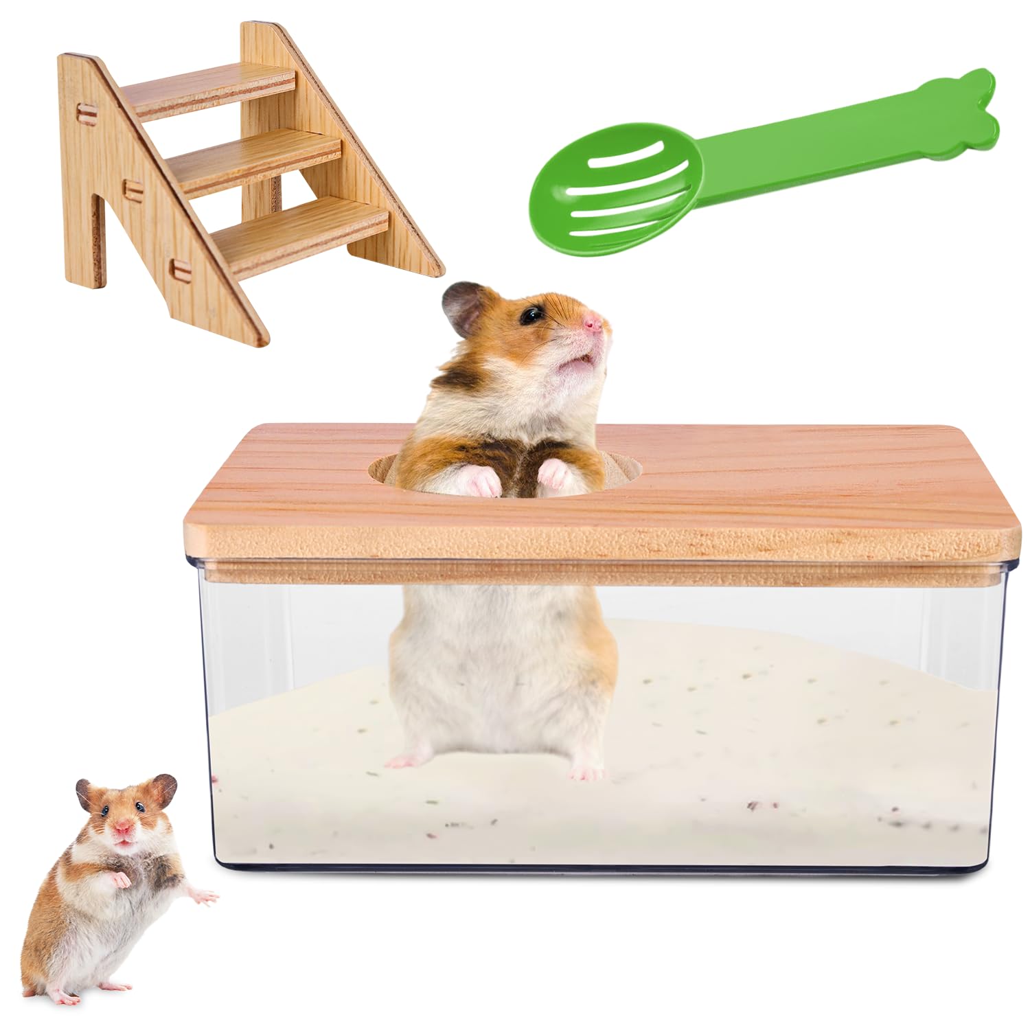 Bagno Di Sabbia Per Criceti Nizirioo - Box Trasparente Con Scala In Legno E Paletta, 15.5x10.5x6cm - Foto 2