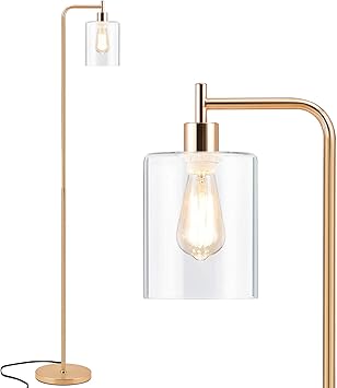 Acaxin Gold Tall LED Floor Lamp Included Bulb, Modern Standing Lamp with Hanging Glass Shade, Far...