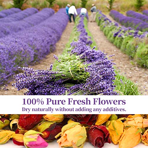 Dried Flowers - 245 g Natural Dried Flower Herbs Kit for Bath, Soap Making, Candle Making Includ 16 Flower Type - Pink Rose, Lily, Rose Petal, Lavender, Jasmine Flower Ect.(16 Bags / 0.5 oz Each)