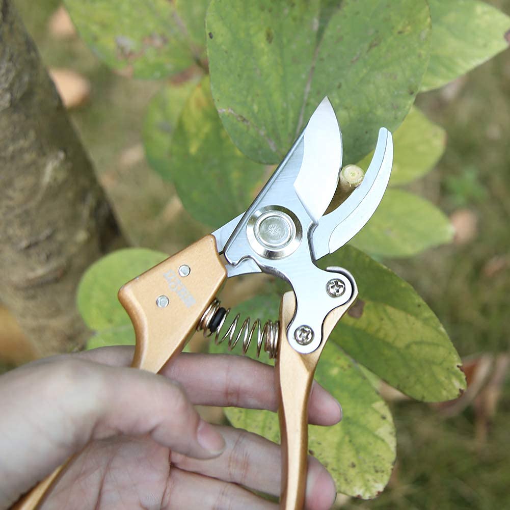 Cesoie per Alberi, cesoie da potatura, cesoie da Giardino Cesoie per Rami, cesoie per potatura a Mano, Nere