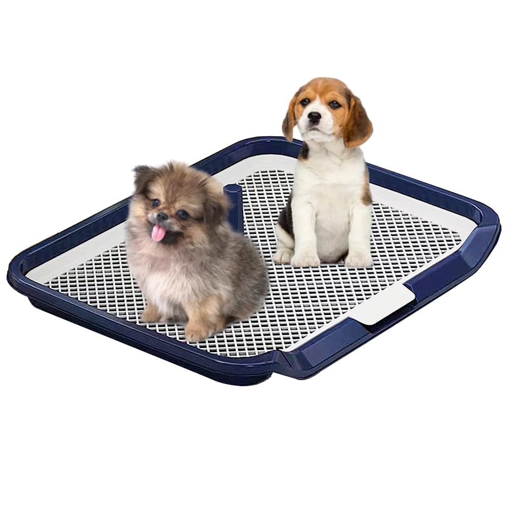 Qpets® 65 x 49cm Dog Poop Tray, Puppy Pee Pad Holder, Pee Pads for Dogs, Plastic Dog Pet Potty Indoor Training Toilet for Small and Medium Dogs, Keep Paws Dry and Floor Clean (B094G3F5R1) Amazon Price History, Amazon Price Tracker