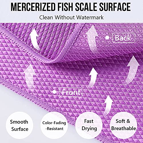 URAQT Panno per Pulizia in Microfibra 30X30 cm, 8