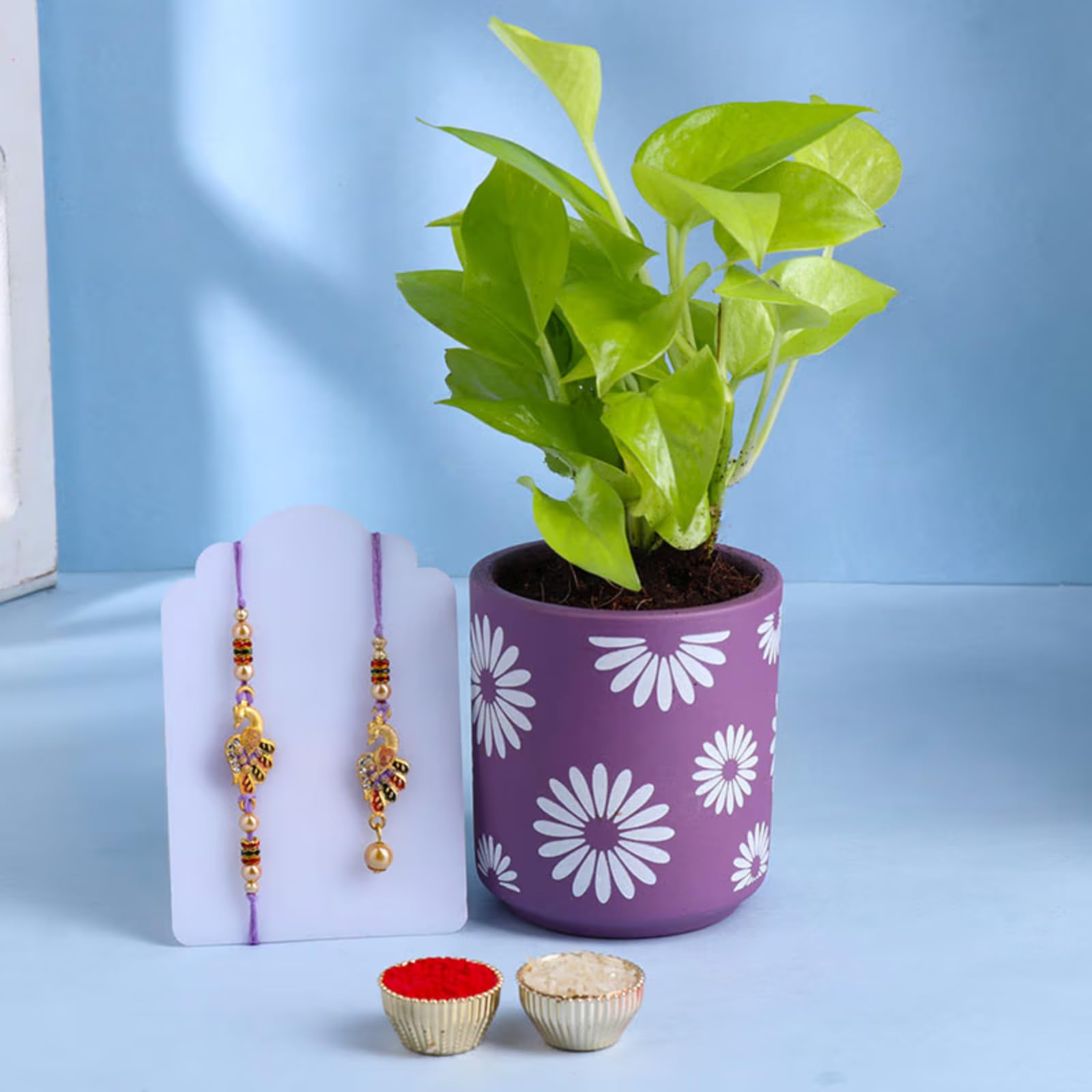 FlowerAura Raksha Bandhan Celebrations Bhaiya Bhabhi Rakhi With Live Indoor Green Money Plant In Terracotta Pot - Rakhi for Brother, Sister-In-Law, Bhabhi, Bhaiya, Cousins & Raksha Bandhan Gifts (B0DB8GD8XH) Amazon Price History, Amazon Price Tracker