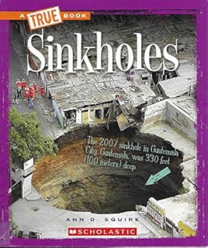 Paperback Sinkholes Book