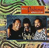 ザ・パヒヌイ・ブラザーズ・ウィズ・ライ・クーダー・ファミリー・バンド