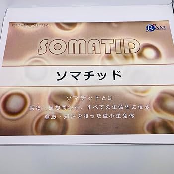 ソマチッド砂 100グラム入り2袋 ソマチッドの衝撃 ソマチッド砂 100グラム入り2袋 ソマチッドの衝撃 Amazon.co.jp