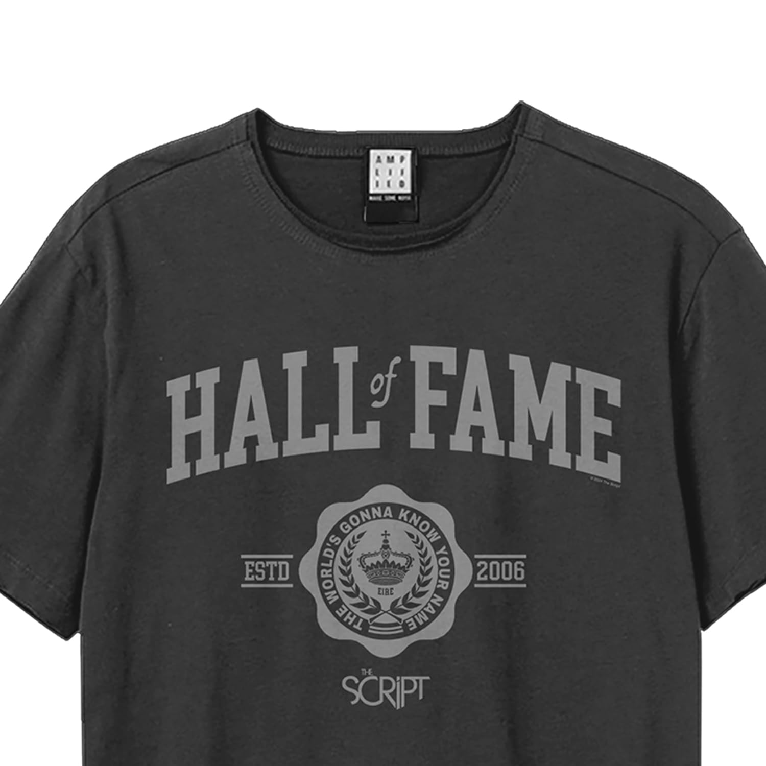 Amplified Koszulka unisex dla dorosłych Hall of Fame The Script