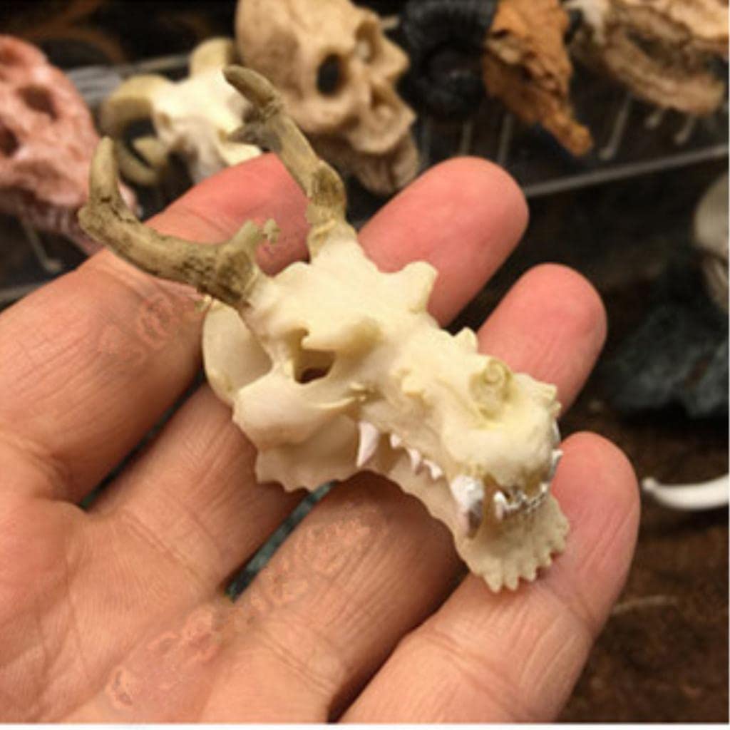 CALANDIS Resin Dragon Skull Aquarium Ornament Fish Tank Reptile Terrarium Aquascaping (B0BFXCLXL2) Amazon Price History, Amazon Price Tracker